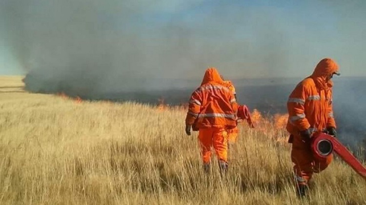 Он гарсаар 17 удаагийн ой, хээрийн түймэр гараад байна