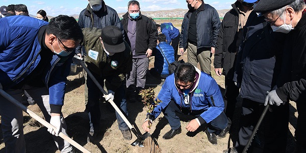 “Тэрбум мод” үндэсний хөдөлгөөн албан ёсоор эхэллээ