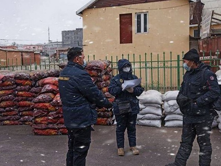 Хөл хорионы үед шахмал түлшний хэрэглээ 41 хувиар өсчээ