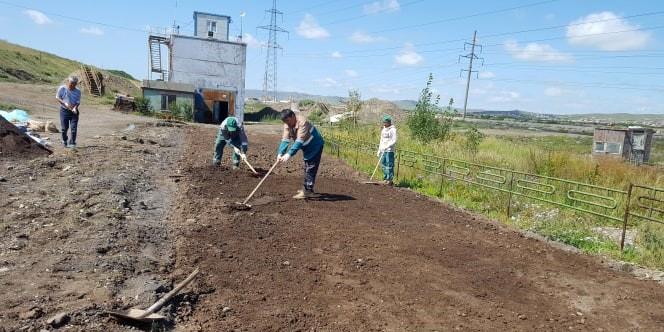 Дулааны цахилгаан станцын үнс, төв цэвэрлэхийн лагийг ашиглан үнсэн санд биологийн нөхөн сэргээлтийн туршилтыг явууллаа