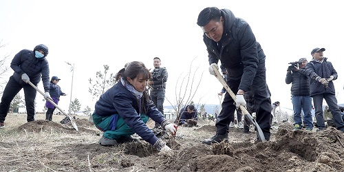 “Ногоон байгууламжид зарцуулсан хөдөлмөр зүтгэл, хөрөнгө мөнгө, цаг хугацаа эргээд үр дүнгээ өгөх ёстой”