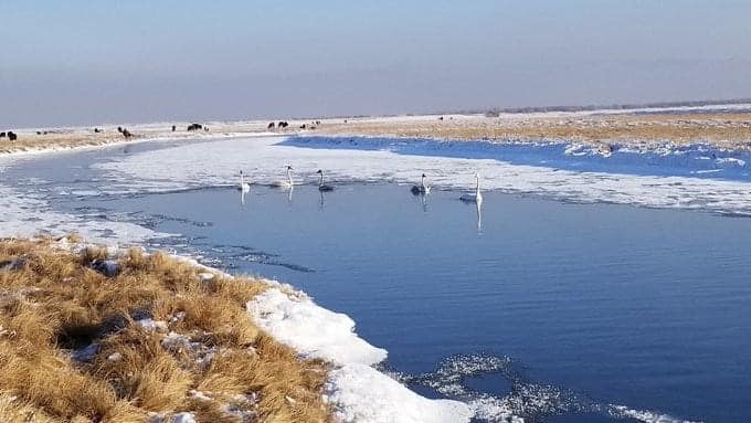 Мөсөн дээгүүр мал тууварлах, тээврийн болон ердийн хэрэгсэлтэй зорчихгүй байхыг анхааруулж байна