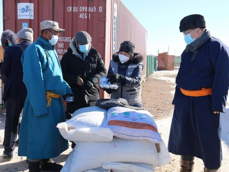 Өвөлжилт хүндэрсэн аймгийн зорилтот бүлгийн малчдад тэжээлийн тусламж хүргэлээ