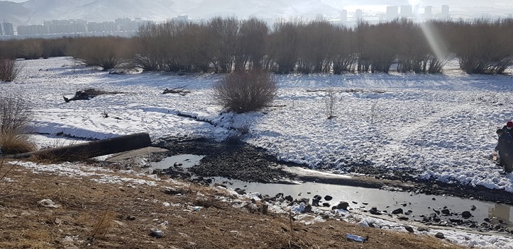 ТУУЛ ГОЛД ҮҮССЭН НӨХЦӨЛ БАЙДАЛД АРГА ХЭМЖЭЭ АВЧ АЖИЛЛАЖ БАЙНА